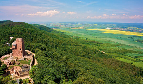 WALDGASTSTÄTTE SENNHÜTTE Bad Frankenhausen