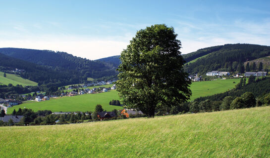 URLAUBS- UND WELLNESSHOTEL FRIEDERIKE Willingen (Upland)