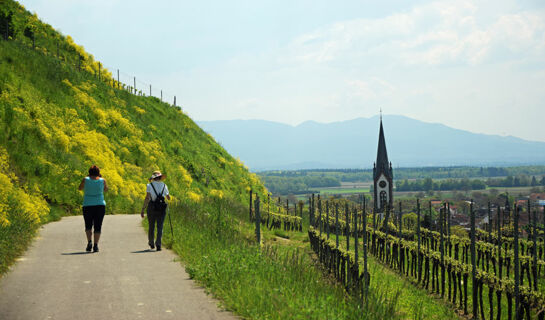 HOTEL WINZERSTUBE IHRINGEN Ihringen