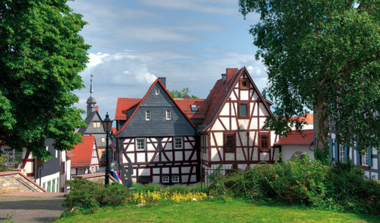 ELAYA HOTEL FRANKFURT OBERURSEL Oberursel