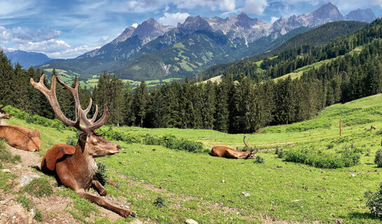 HOTEL DER ALMHOF Maria Alm