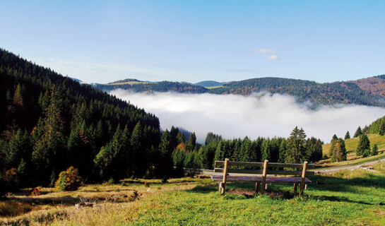 FERIENHOTEL SCHWARZWÄLDER HOF Feldberg-Altglashütten