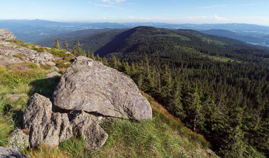 HOTEL GOTTINGER Waldkirchen