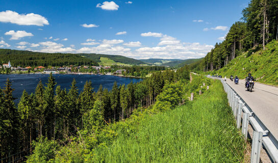 LAND-GUT-HOTEL GROßBACH Menzenschwand