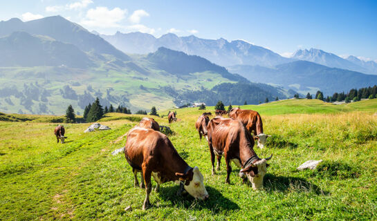 LA CROIX SAINT-MAURICE Le Grand-Bornand