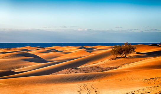 HOTEL CORALLIUM BEACH Maspalomas