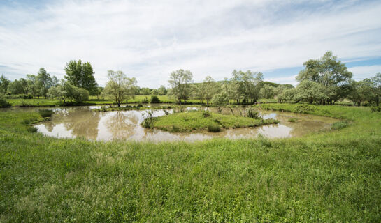 AU LION ROUGE Bartenheim