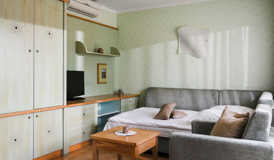 TERME SNOVIK Laze v Tuhinju