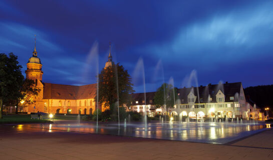 HOTEL TRAUBE Loßburg