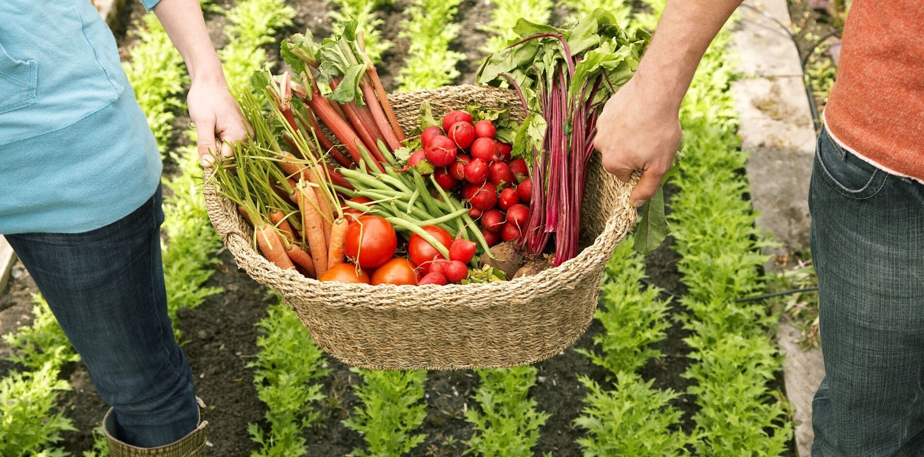 Hotels mit vegetarischer Küche