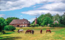 FLETCHER HOTEL-RESTAURANT DE GELDERSE POORT Ooij