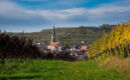 HOTEL WINZERSTUBE IHRINGEN Ihringen