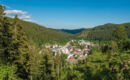 HOTEL-RESTAURANT BRAUEREI WALTER Waldshut-Tiengen