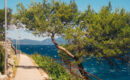 VITALITY HOTEL PUNTA Veli Lošinj