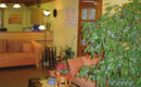 DAS ARBER-HOTEL AM ROTHBACH Bodenmais