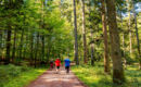 VITAL- UND WELLNESSHOTEL ALBBLICK Waldachtal