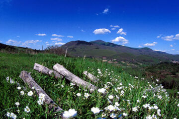HOTEL LE MACINAIE (B&B) Castel del Piano (GR)