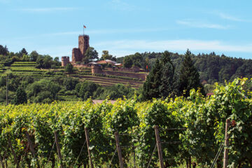 HOTEL WEINHEBER Freinsheim