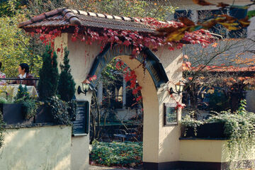 LANDHOTEL NIEDERTHÄLER HOF Schloßböckelheim