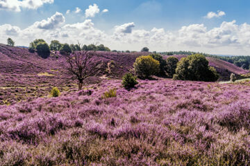 FLETCHER HOTEL-RESTAURANT MOOI VELUWE Putten