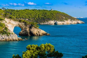 HOTEL DELLE MORE Vieste (FG)