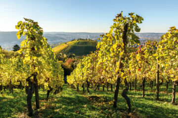 LOGINN HOTEL STUTTGART ZUFFENHAUSEN (B&B) Korntal-Münchingen