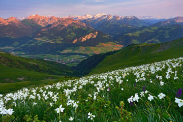 HÔTEL DE VILLE DE CHÂTEAU-D'OEX (B&B) Château-d'Oex