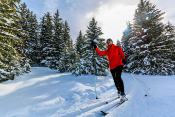 AUBERGE DE L'OURS (B&B) Vex