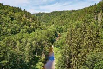 CHALET MOOS (B&B) Todtmoos