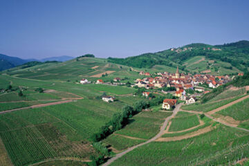 L'ALEXAIN Trois-Epis