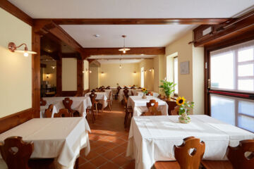 HOTEL VILLA  ALPINA Forni di Sopra