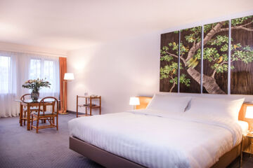 HÔTEL SAGITTA (B&B) Genf