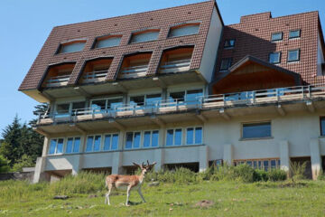HOSTEL DE LA GRANDE CASCADE Le Tholy