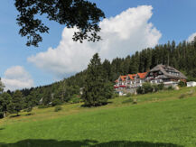 JUFA HOTEL SCHWARZWALD Lenzkirch