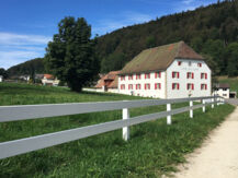 AUBERGE DE BELLELAY - HOTEL DE L'OURS (B&B) Saicourt
