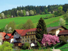 HOTEL GASTHOF ZUR KRONE Oberzent