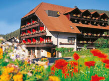 HOTEL SCHWARZWALDHOF Enzklösterle